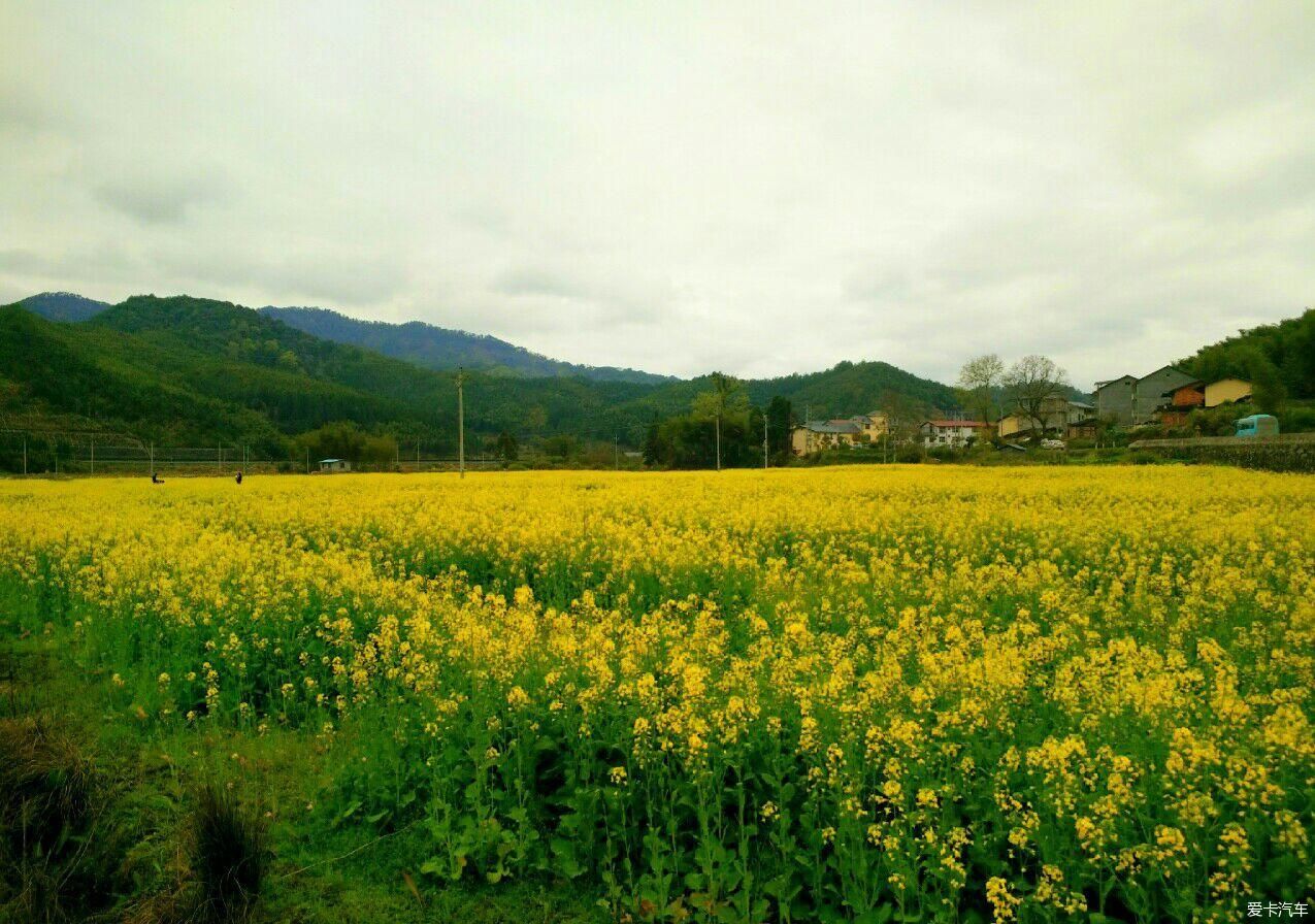 浙江|爱在山花烂漫时