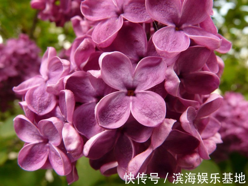 生肖|“对爱情守诺”的4种生肖,只对老婆专情,家庭非常幸福