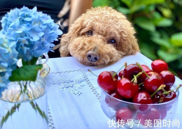 庭院改造:50㎡的下沉式庭院造花园,有地我也建一个,太好看了!