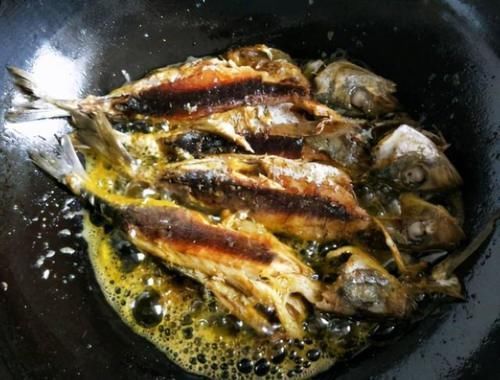 营养|被称“最便宜的海鱼”，目前无法人工养殖，纯野生营养丰富肉鲜嫩