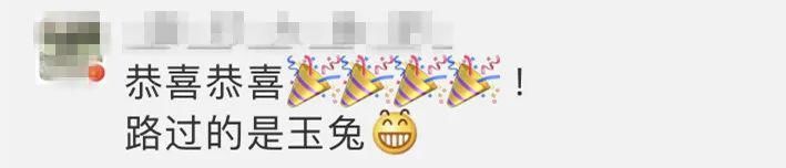 最为复杂 我们的仙女回家啦！万万没想到，第一个“找”到她的居然是…
