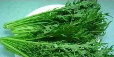 减肥|适合女人吃的3种果蔬，减肥瘦身，滋润肌肤，淡化色斑，增强视力