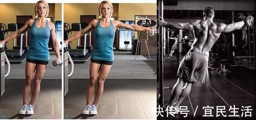 肩部|杜绝畸形肩部审美,要精致也要健康女性最佳训练方案