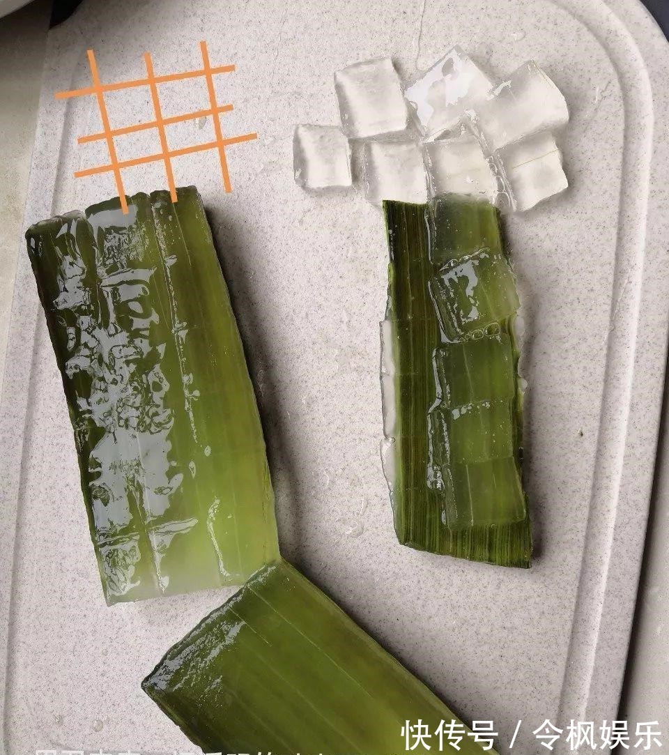 老中医最爱的8种花,一盆堪比小药箱,摘片叶子就能泡水喝!