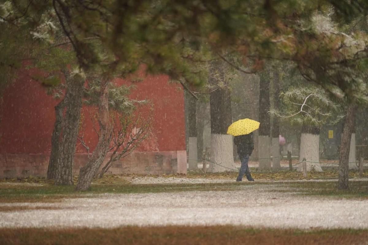 游客|红墙松柏加白雪！游客地坛公园内喂鸽子感受冬日乐趣