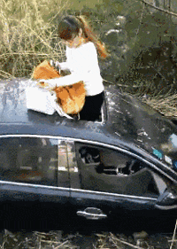 |搞笑GIF趣图:妹子天生力气大,一出场就把小伙子的活都抢了