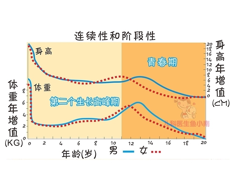 增幅|宝宝身高体重从小有没有达标?对照这份增长规律,爸妈一看就知道