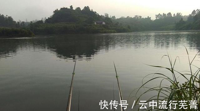 窝料配方来啦!渔具店老板酒后吐露,钓鱼很好用的葡萄酒玉米!