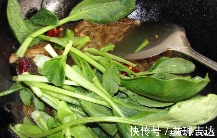 家常|家常的不能再家常的一道菜, 吃过了还想吃