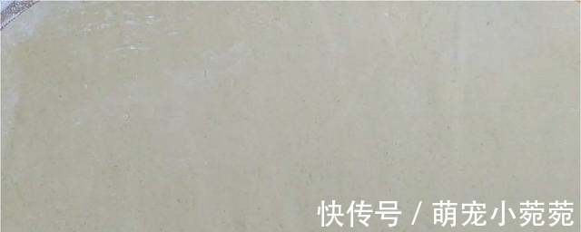 玉米面饼这样做,加多一种材料,口感丰富,吃着蓬松柔软,真香