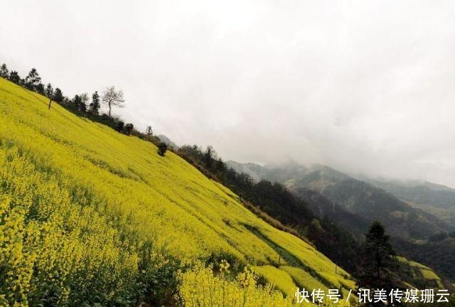 圆弧|【安徽油菜花】最全徽州油菜花赏花地图来了，这份攻略要收好