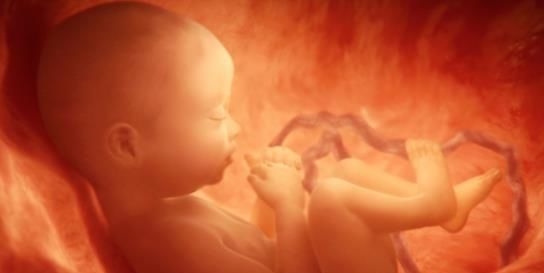 新生儿|孩子出生时的身高,和长大后的身高有关系吗可能很多人不清楚