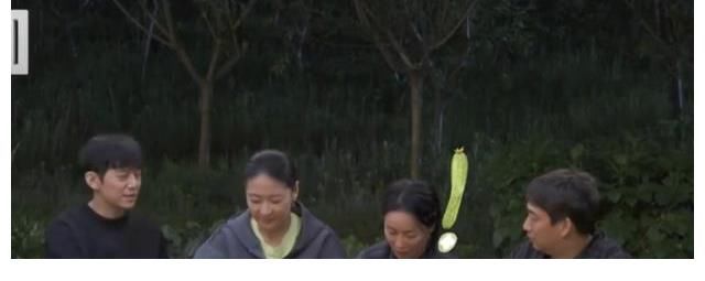 向往的生活|黃磊和黃渤視頻連線，直接吐槽一句又丑了，黃渤記仇表示要聊聊