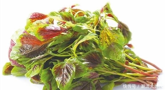 长寿菜|它是农村最便宜的长寿菜，效果比人参还好，你喜欢吃吗？