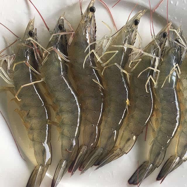 过年买虾，只看弯不弯就错了，记住这“4点”，都能买到新鲜大虾