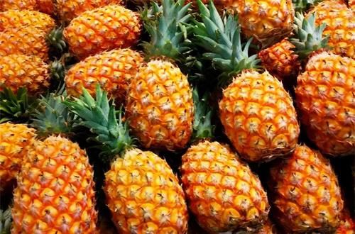 膳食纤维|聪明的人爱吃3种食物,排毒养颜,改善体质,有益健康