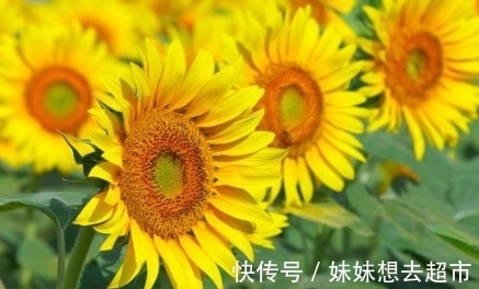 孕妇|孕妇梦到这4件事,是吉兆,预示是男宝宝且大有作为