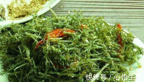 人体|会吃的人最健康，3种食物不错过，解热镇痛，身体棒棒哒！