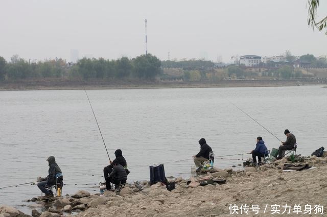 天冷钓鲫鱼,我就只服老钓友这3招,知道的人不一般,莫忽视