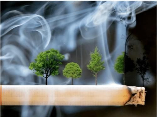 二手烟|21岁女大学生肺癌离世,平时烟酒不沾,医生:都是这1习惯害的!