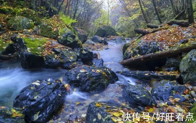 叶子|魅力陕西行·雨后，寻觅镇坪最诗意的秋天