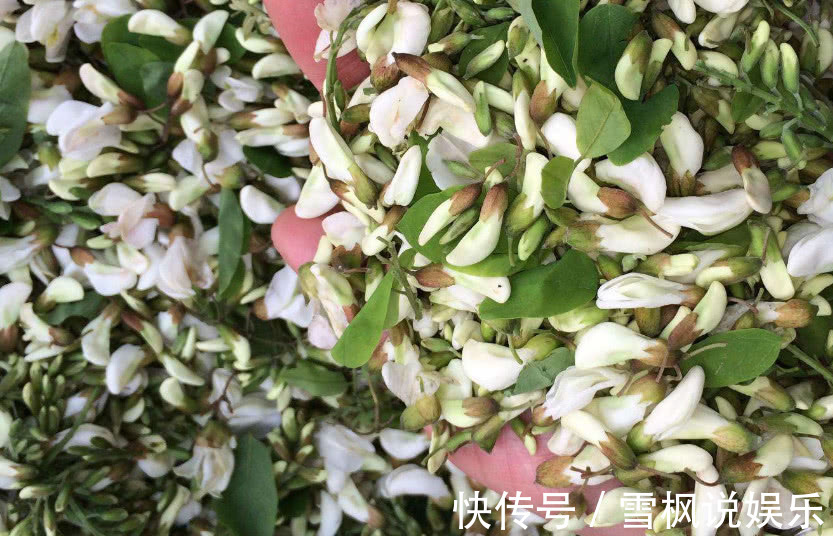 “此花”在农村烂树上没人要，城里人花钱买不到，炒一炒比肉香！