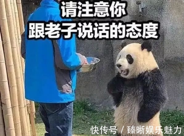 陶汉林|来了!中国男篮16人名单公布!赵睿终于回来!最大遗憾是他