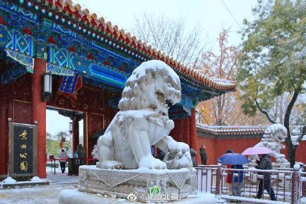 初雪|立冬初雪 北京市属公园美翻天！