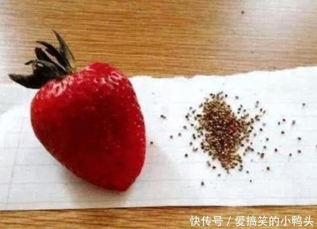 黑头吸出器|小伙用黑头吸出器给草莓“去黑头”,会发生什么?结果让人意外