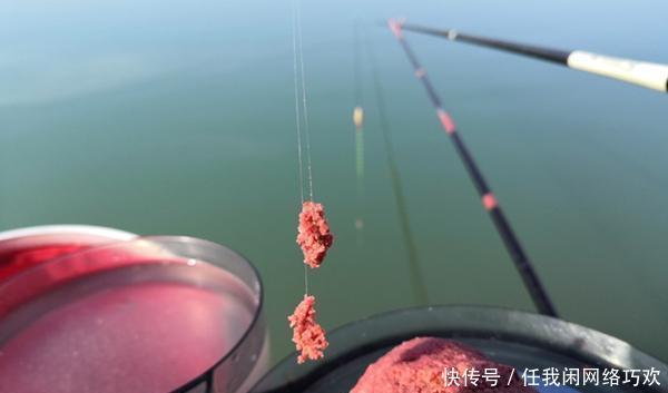 鲫鱼|冬钓鲫鱼,5不原则,气温低鱼情差,外出钓鱼别盲目!