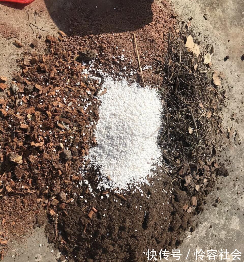 养花有这“3个坏习惯”，花盆里面会起“碱”，用4个方法解决