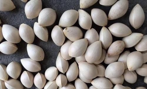 结节|甲状腺的“知音”找到了，并非西红柿，你若爱吃，结节或慢慢变小