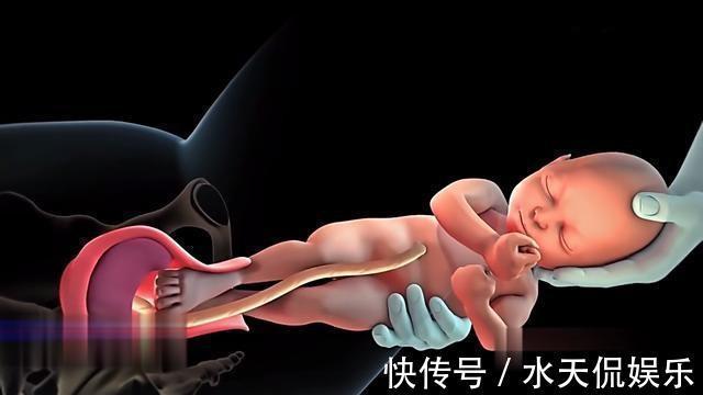 胎盘|生产后一小时内,身体都有哪些变化感慨母爱的伟大