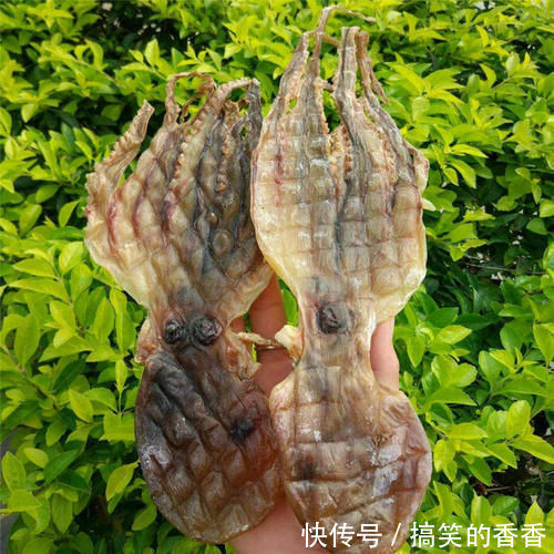 好处|会吃的人最健康，坚持吃3种食物，延缓衰老，增强免疫力，好处多