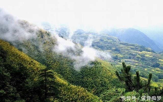 竹林|浙江又一乡村走红，丽水人称“人间天堂”，门票65元却游客爆满