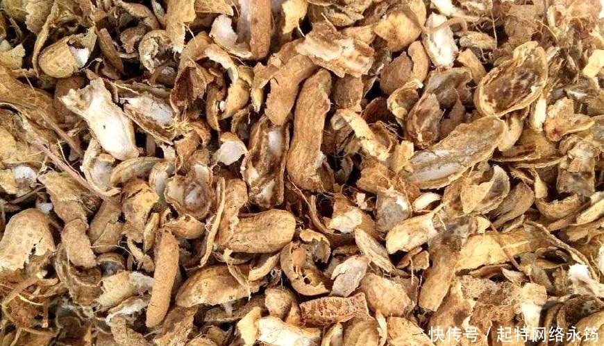 养花|路边捡一把扔到花盆里,土壤肥的流油,根壮不腐烂,3年不用换土