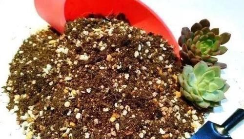 蛭石只有两个作用 在养花的过程中这两个作用表现良好 快资讯 蛭石只有两个作用 在养花的过程中这两个作用表现良好 快资讯