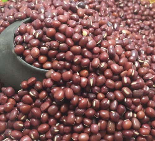 李子|想長壽得會(huì)吃,常吃以下3種食物,養(yǎng)心安神,潤肺補(bǔ)肝,好處多多