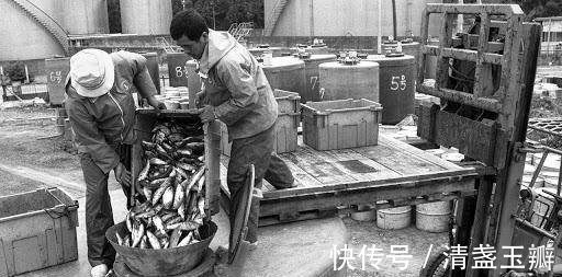 体温计|为什么要禁止水银体温计的生产,看完才知道它有多毒!