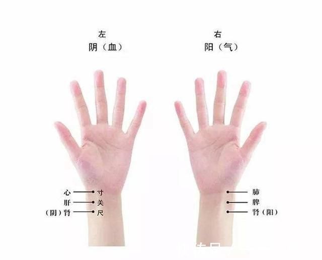 老中医|为什么中医摸脉就知道病人得了什么病说说秘而不宣的号脉那些事