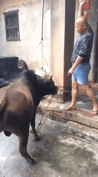 |搞笑GIF:小兄弟你这口罩从哪买的,我想给我女朋友也买一个