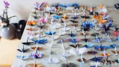 翅膀$抑郁小哥把一只2毛钱的千纸鹤折成了我买不起的样子,不但病好了还年入百万