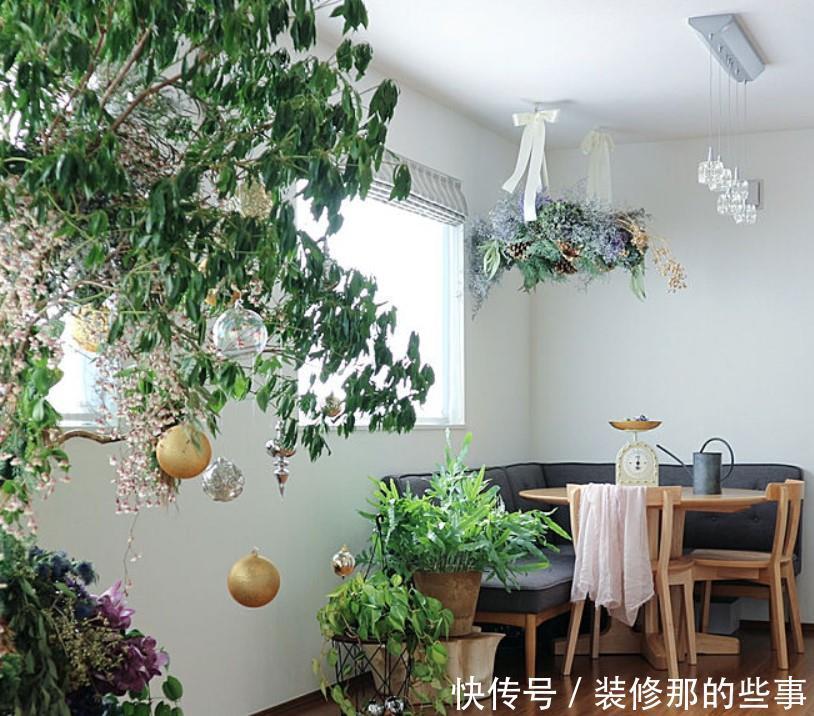 小两口之家,全屋布满绿植鲜花,把生活过成了诗,太美太治愈了