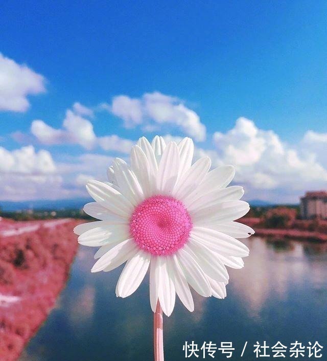 人生|令人受益匪浅的一段话,经典有理,能改变自己!