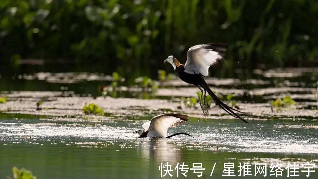 生态旅游区|腾冲市北海乡景区大盘点，赶快收藏起来吧~