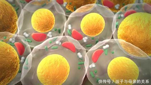 胆固醇|甘油三酯超标,退休院士提醒:做对3事,坚持15天,血脂自己降