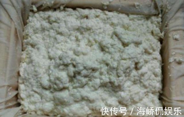 豆浆|一把黄豆一碗水,教你自己在家做豆腐,现吃现做更放心