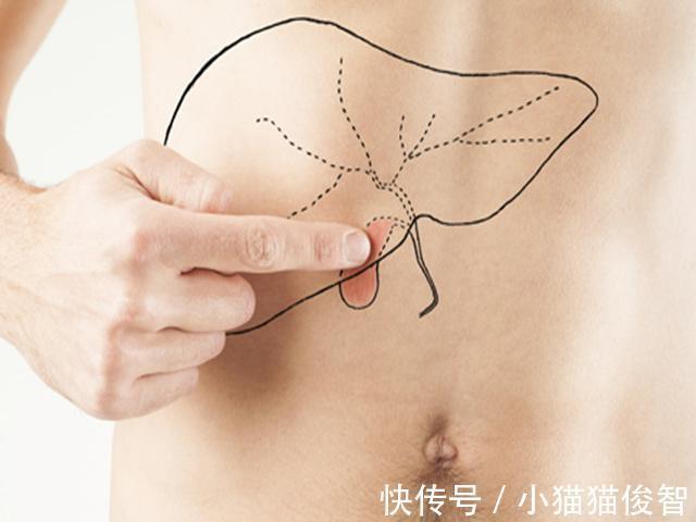 藏毒|肝脏“解毒高手”就在身边,保温杯里常备点,排毒养肝,肝无忧