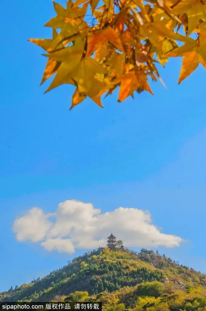 地址|足足20家！北京最美秋色都在这里了！不用人挤人！