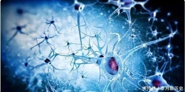 孩子们|哈佛研究表明：宝宝大脑有三次“井喷期”，家长请务必抓住一次